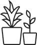 Roof Garden