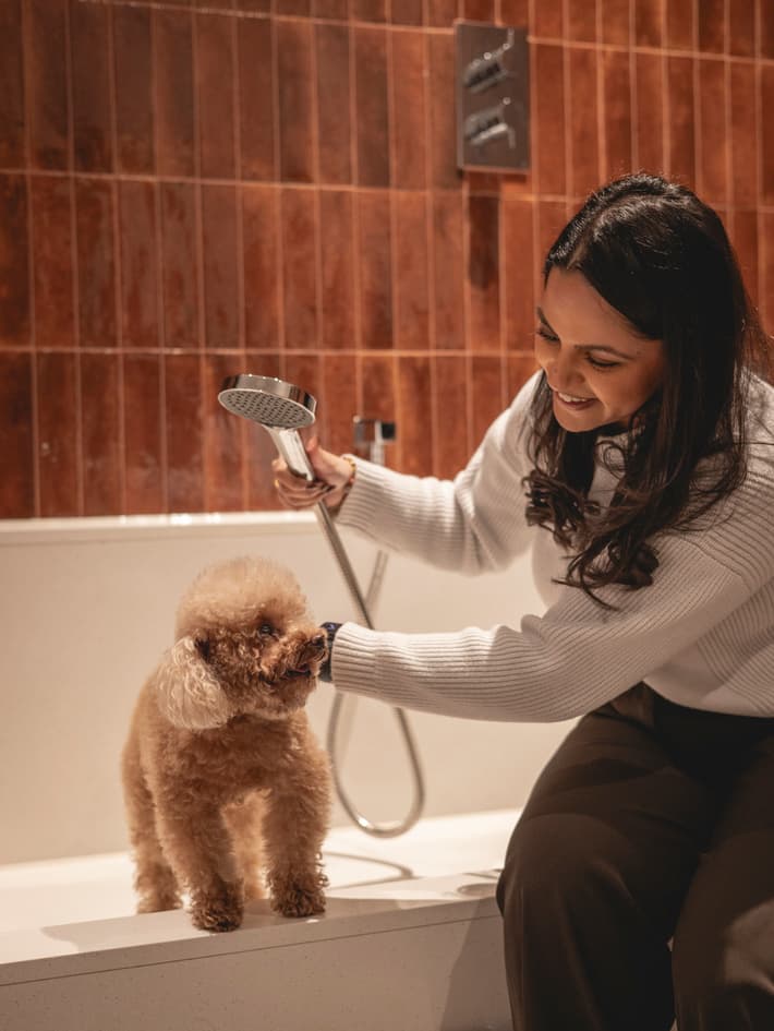 PET SPA - Image 2